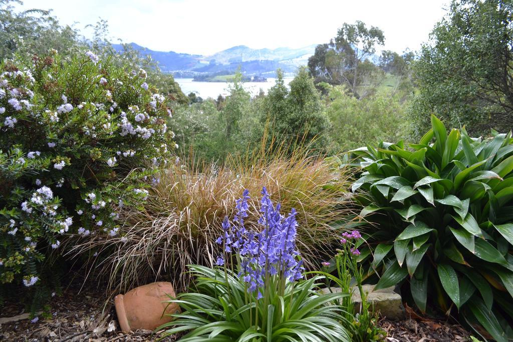 Treetops B&B Portobello ภายนอก รูปภาพ