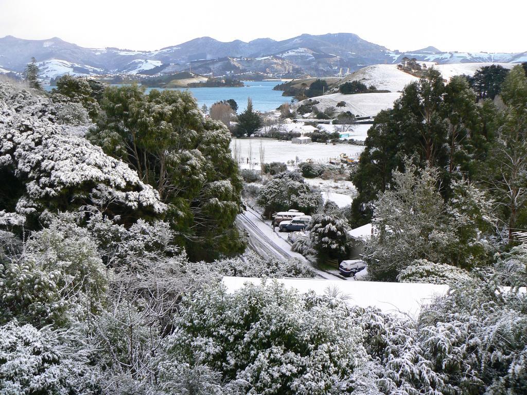 Treetops B&B Portobello ภายนอก รูปภาพ