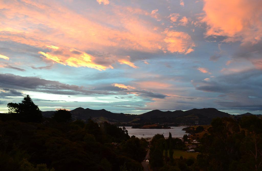 Treetops B&B Portobello ภายนอก รูปภาพ
